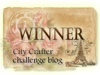 City Crafter Winner #309