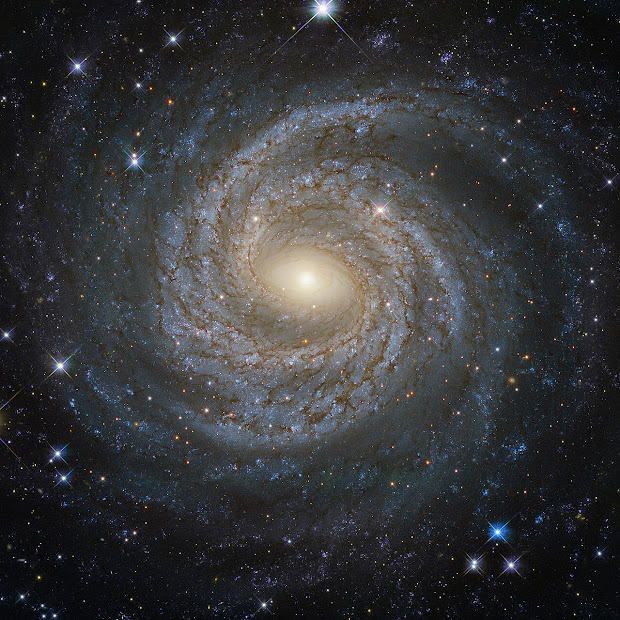 Spiral Seyfert Galaxy NGC 6814