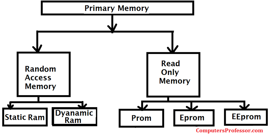 Explain The Primary Memory Of A Computer Computers Professor