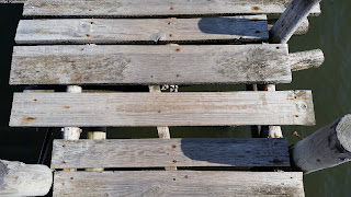 PLACES / Porto Palafita, Carrasqueira, Portugal