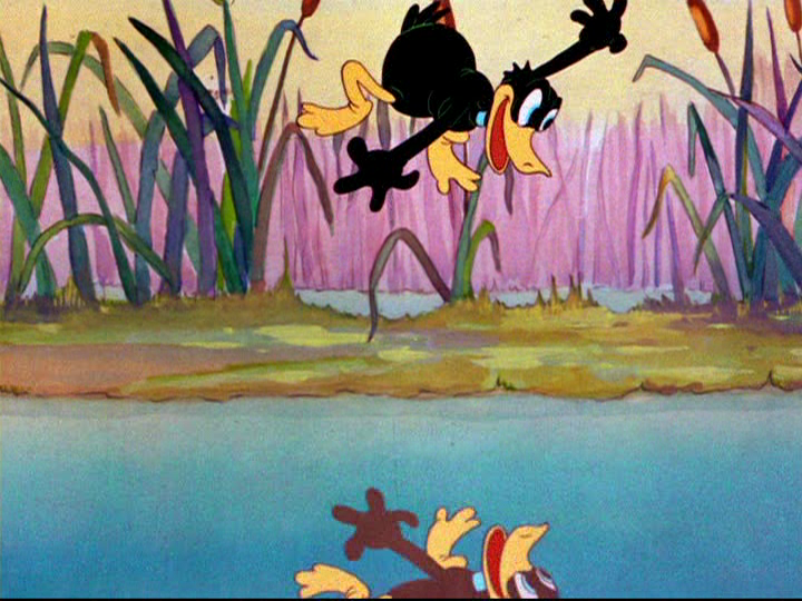 Supervised By Fred Avery: Tex Avery's Warner Brothers Cartoons: Daffy ...