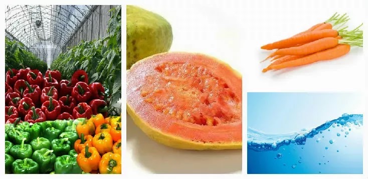 como reforzar el sistema inmunologico de manera natural