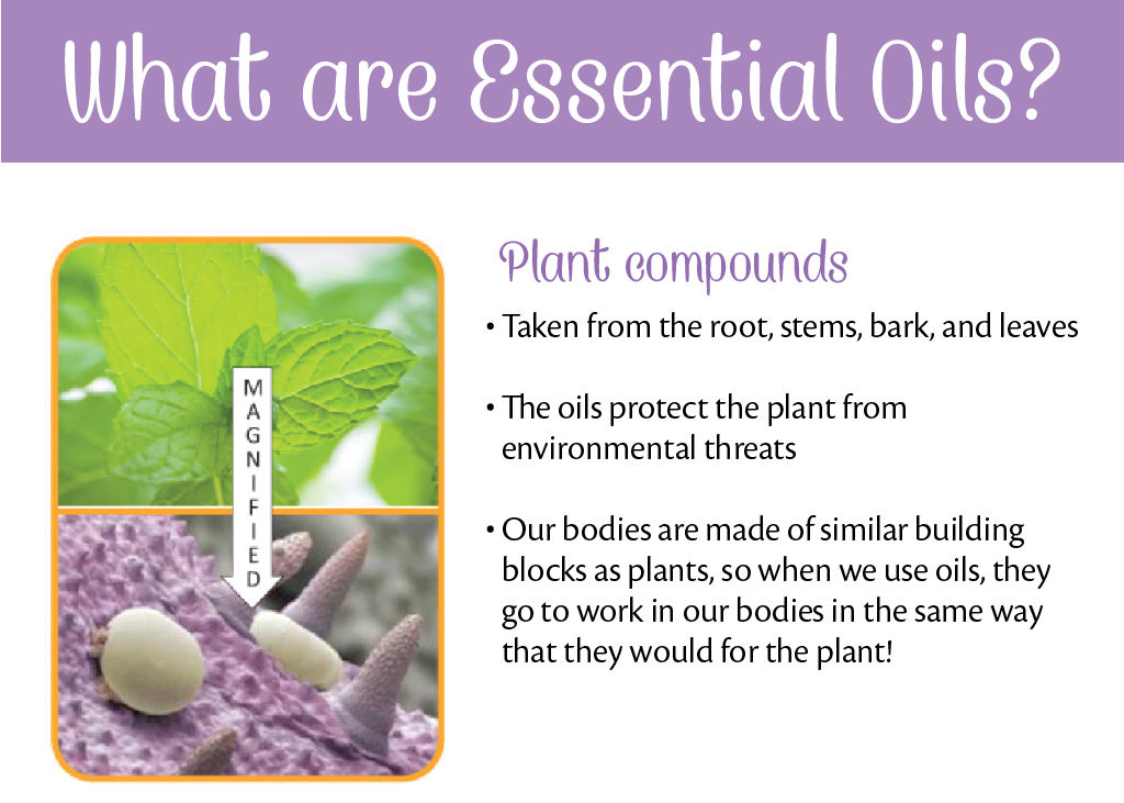 Simply Brandi What are essential oils??