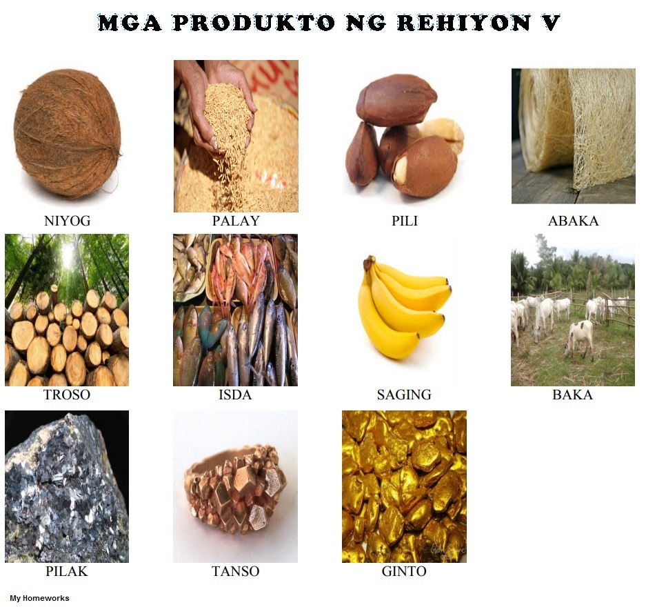 My Homeworks: Mga Produkto Sa Bawt Rehiyon ng Pilipinas- REHIYON V