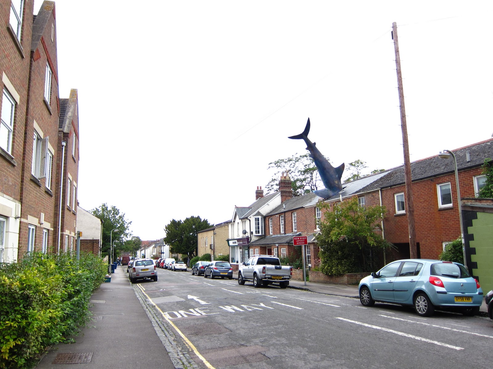 Акула в крыше дома