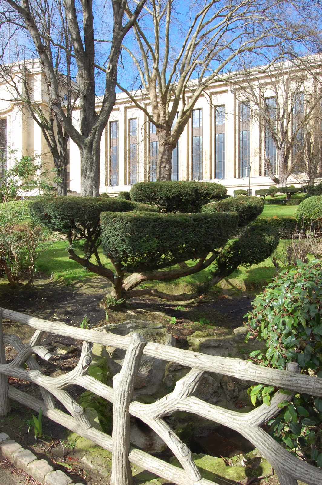 My Suburbian Garden: 2014