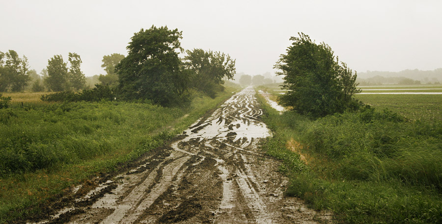 Muddy Road. Extended Road. Дорогу крылатому