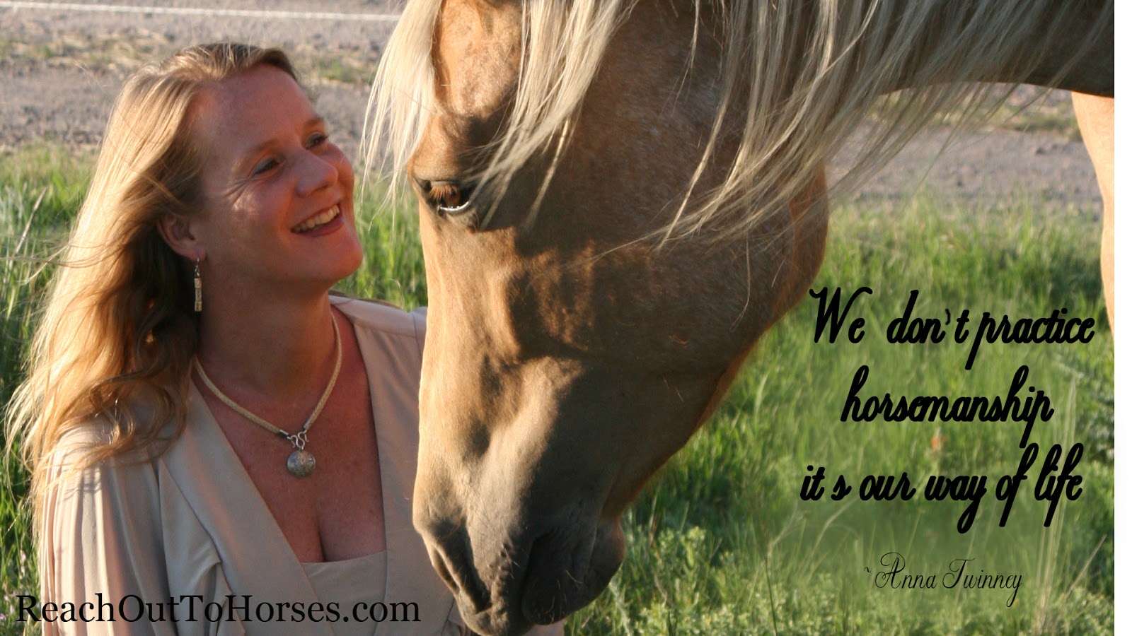 Finish the drawing horse funny picture