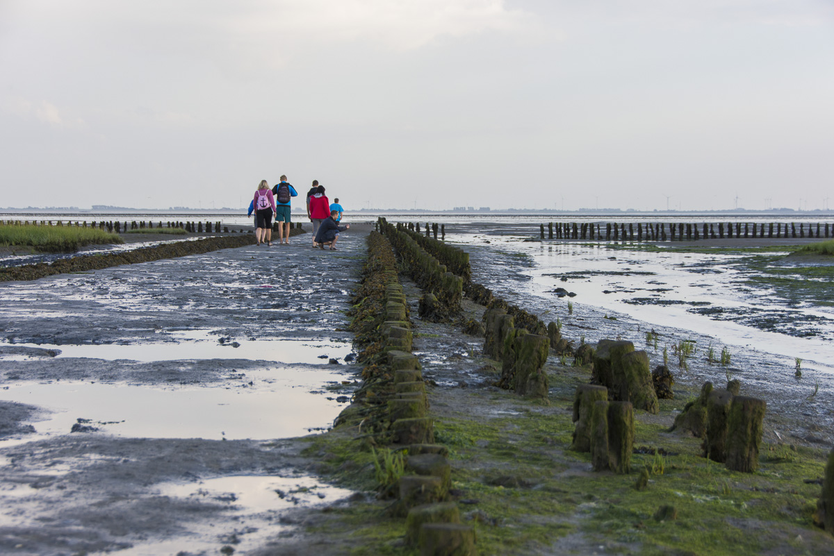 Mein Pfingsten In Ostfriesland Kurz Den Kopf Freipusten Lassen