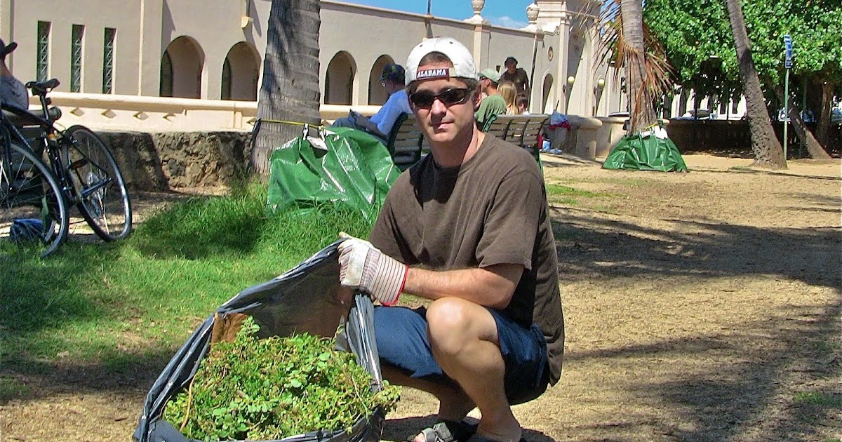 Khaki Weed Control