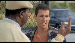 HarmlessAgreeableGoitered-max-1mb.gif