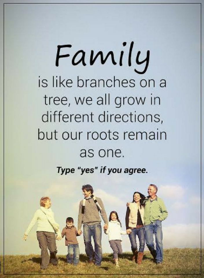 Quotes Family is like branches on a tree, we all grow in different
