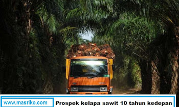 Prospek sawit 10 tahun kedepan, Seberapa baik dampaknya?