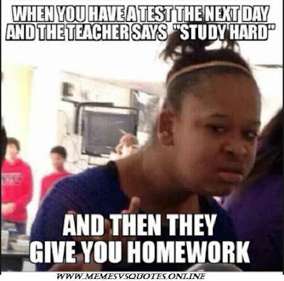 They give you homework