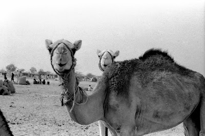 Niger, Agadez, © L. Gigout, 1991