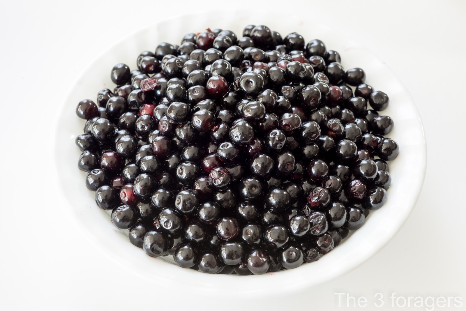 The 3 Foragers Foraging for Wild, Natural, Organic Food Black Cherry