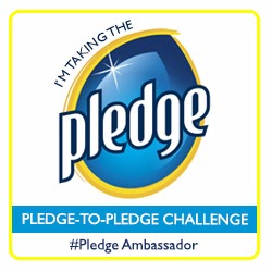 Pledge Ambassador