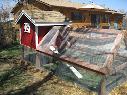 coop fancy chicken extravagant flights