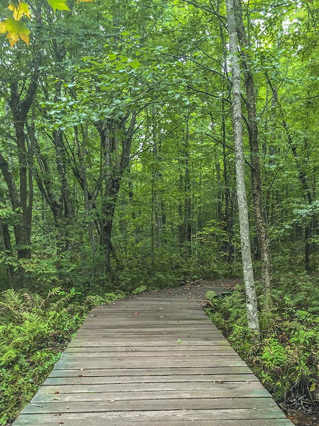 Boardwalk on the trail to Morgan Falls at St. Peter's Dome State Natural Area