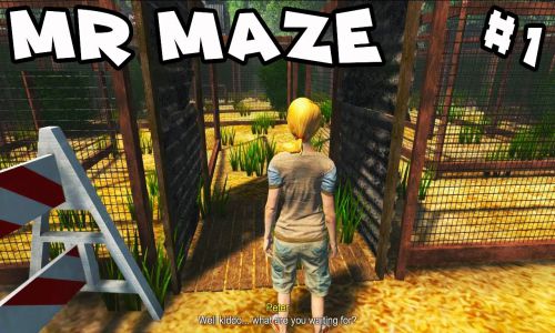Download Mr Maze Free For PC
