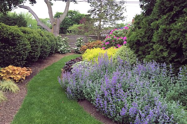 A GUIDE TO NORTHEASTERN GARDENING: Garden Bloggers' Bloom Day & Foliage ...