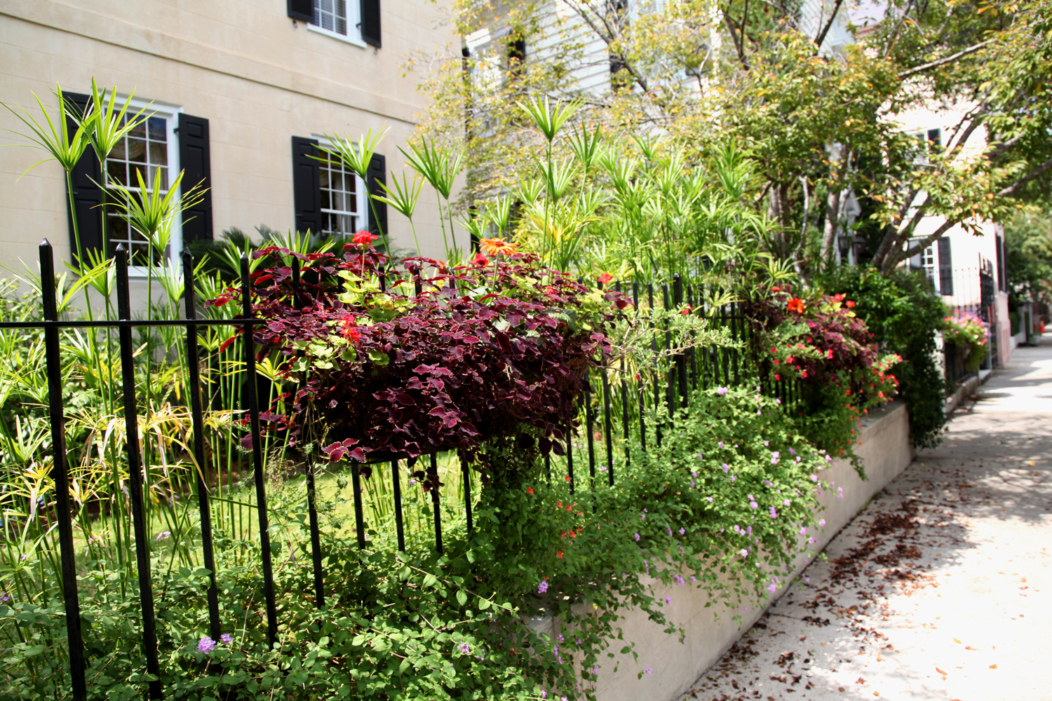 Dr. Dan's Garden Tips: A Bountiful Box of Beauty