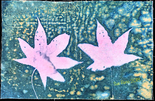 Wet cyanotype_Sue Reno_Image 283