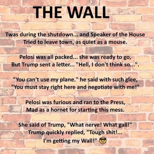 90 Miles From Tyranny The Wall A Poem