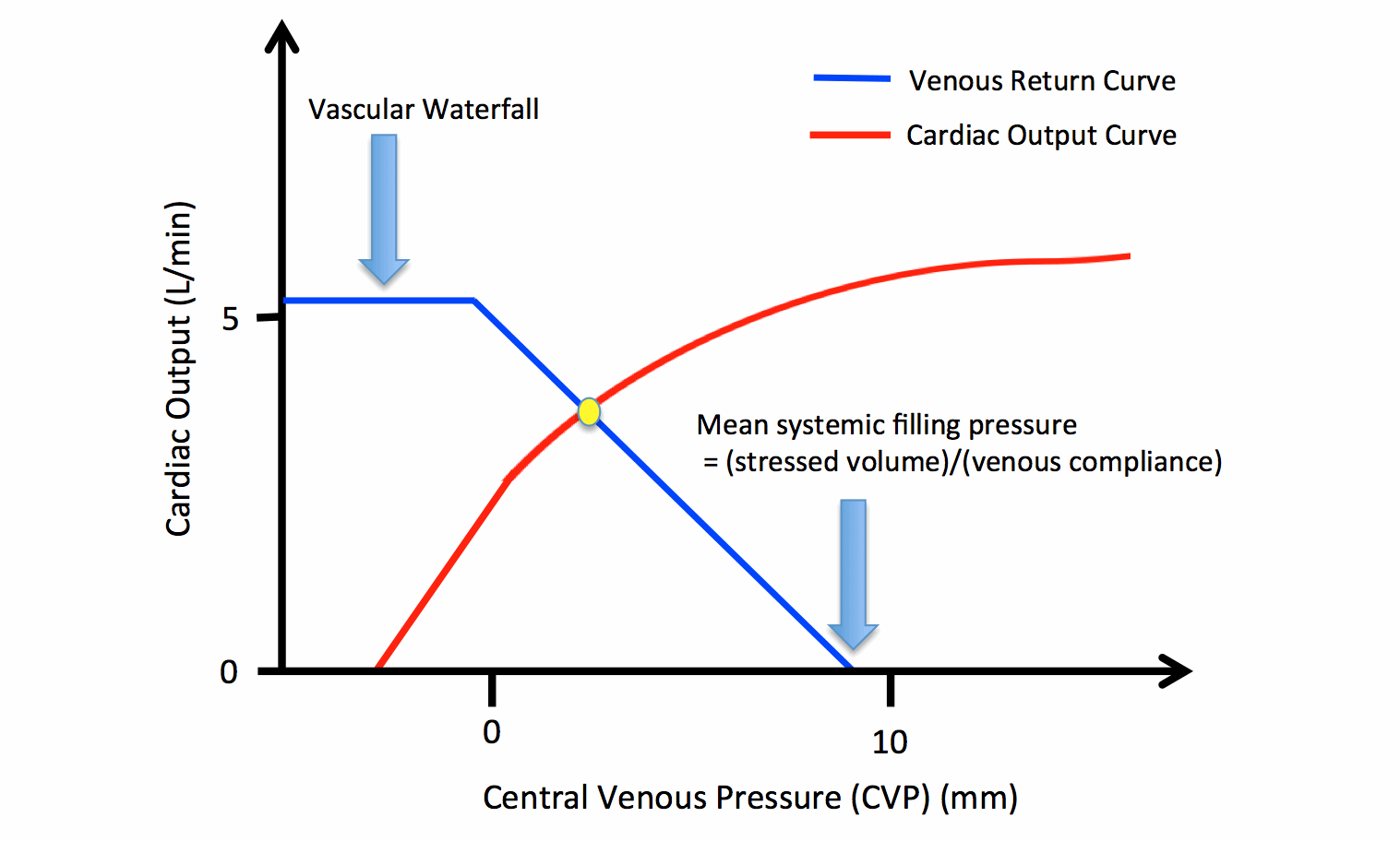Mean return. Cardiac function curve. Output curve. Mean systemic Pressure. Venous Return graphic.