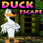 Games4King Duck Escape