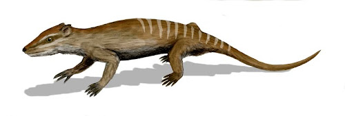 replica de mamiferos del cretaceo Yanaconodon