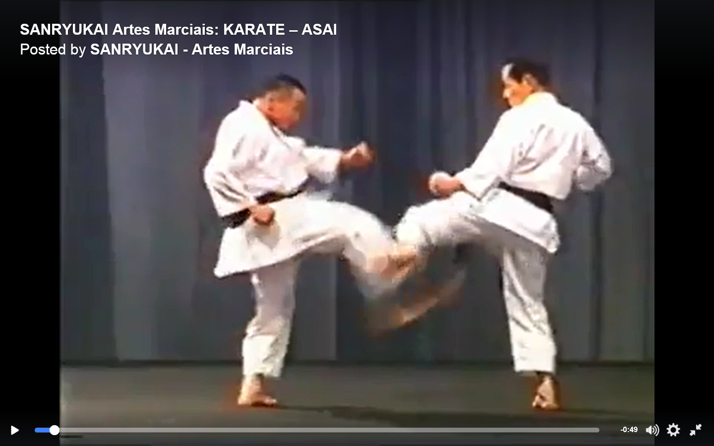 Isshin Concentration the Art Use of the leg to block kicks