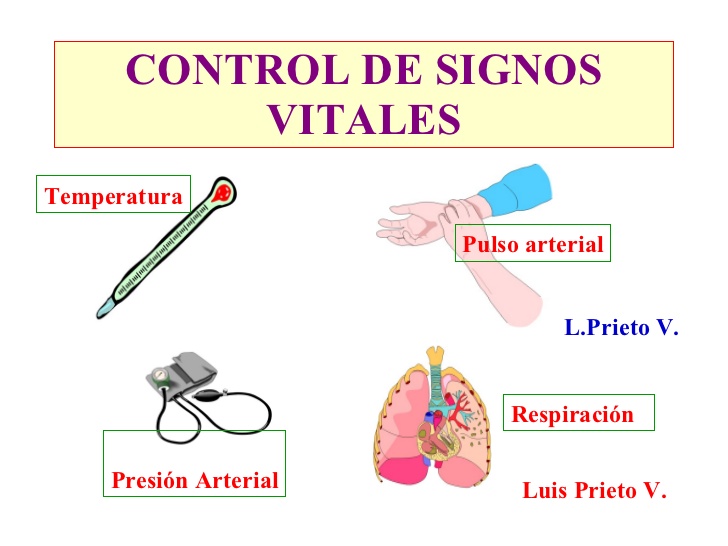 Signos Vitales Su dibujante era un verdadero innovador con. signos vitales