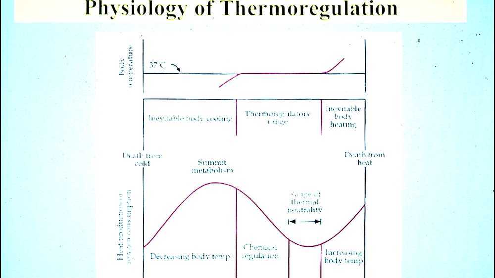 Thermal neutral zone