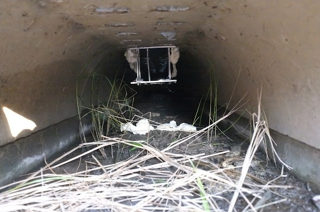 Bufocam: the toad tunnel camera: Bufocam prototype and cradle installation
