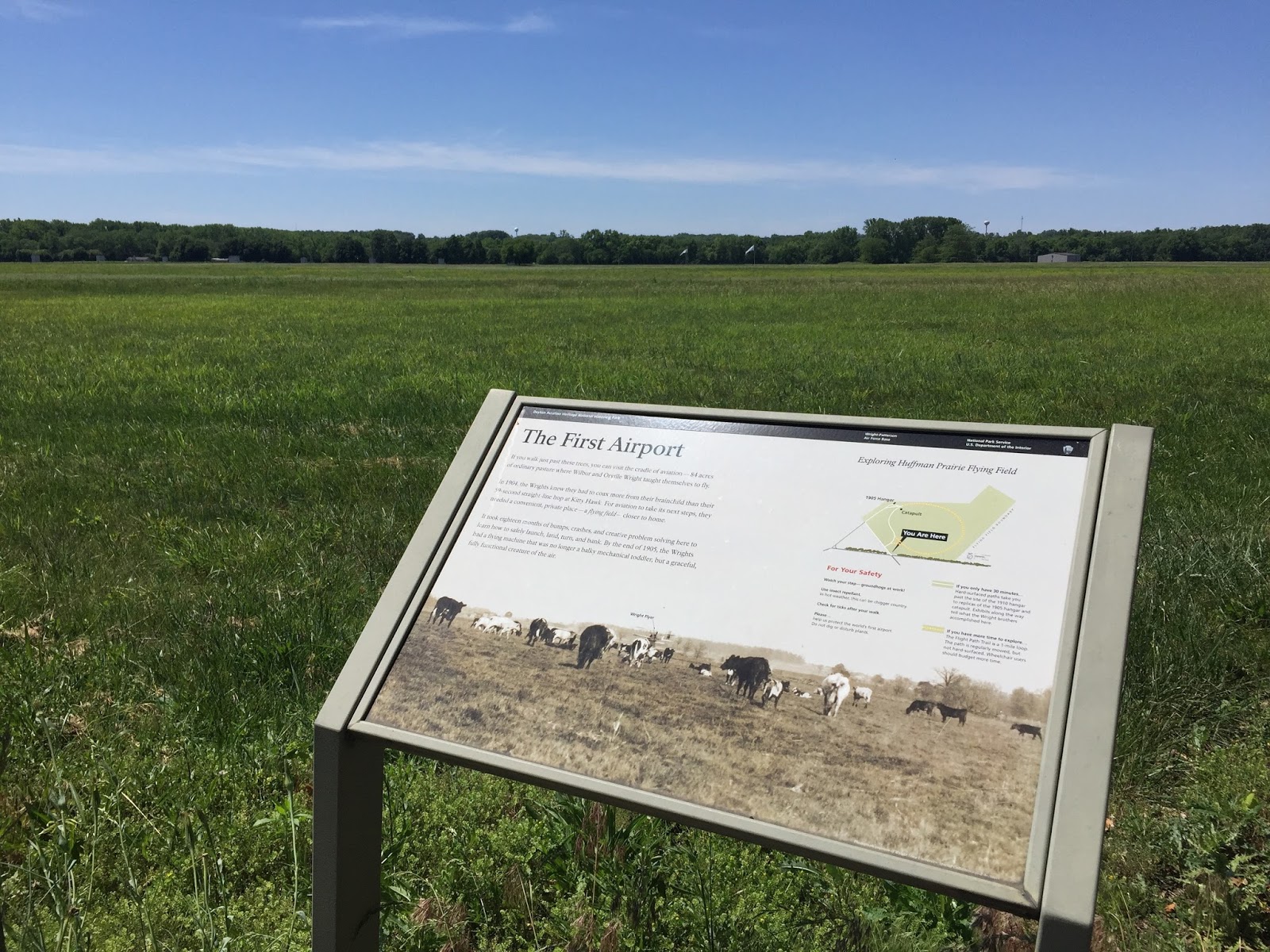 IMG_3324.jpg?width=400