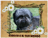 Our Dog Friends                        ** Chicco**