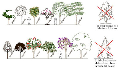 Kammermusikkammer Brahms Lieder Dietrich Fischer Dieskau