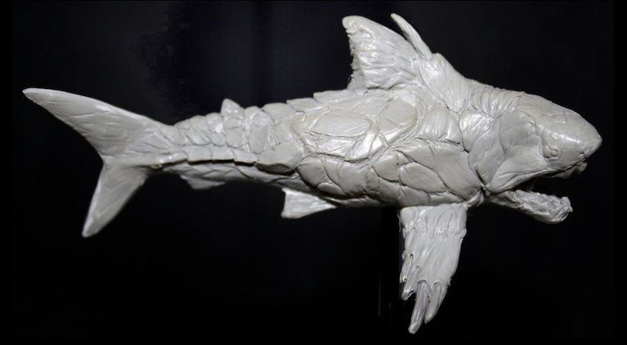 Click to see full-sized image Image