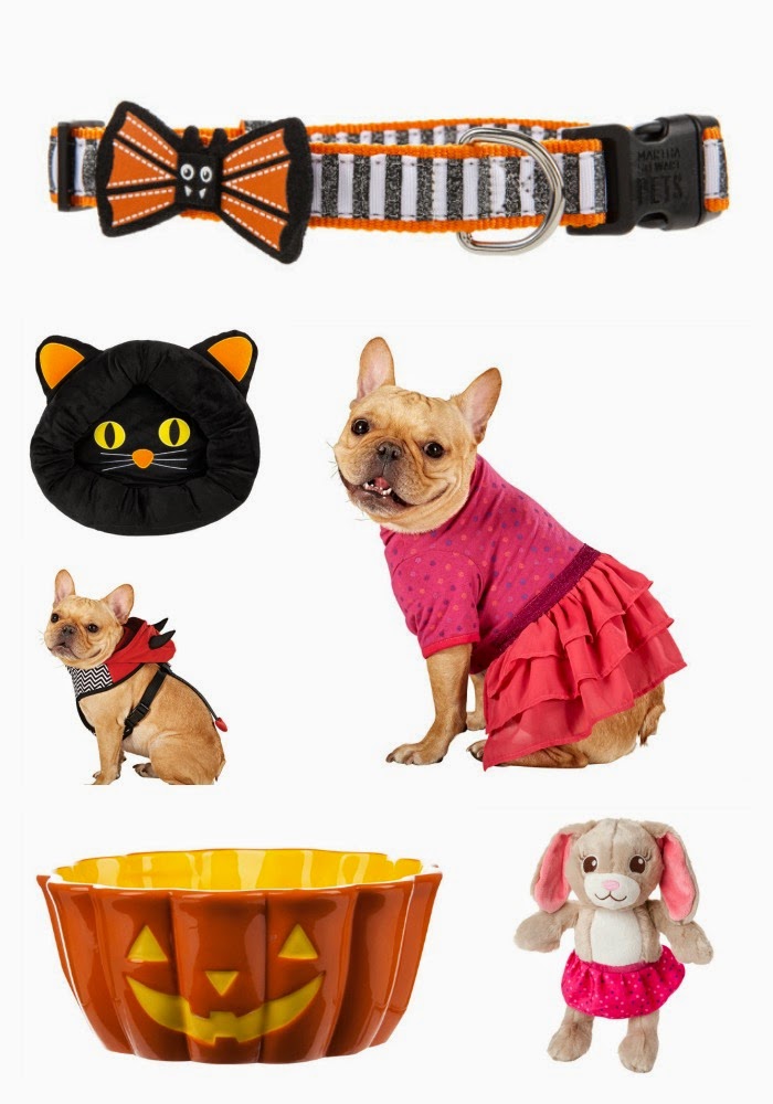 Fall Fashion for Dogs Pawsitively Pets