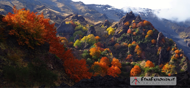 Il foliage sull'Etna
