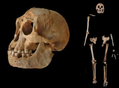 Los humanos son sospechosos del genocidio de los 'hobbits'