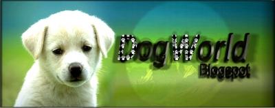 dogw0rld.blogspot.com