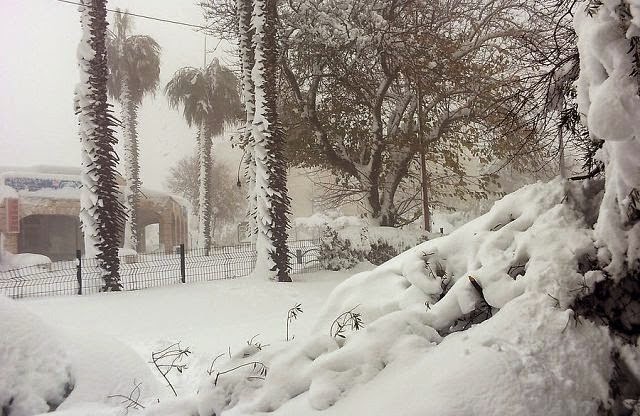 Израиль январь Израиль январь