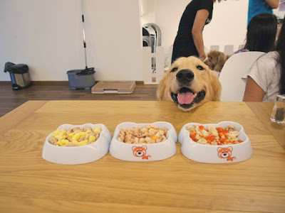 dog friendly cafes in singapore