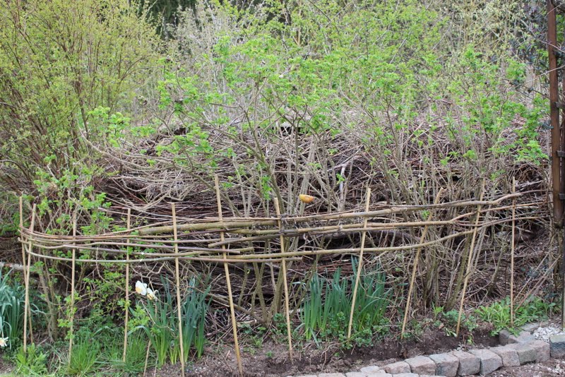 Wildes Gartenglück Totholzhecke/Benjeshecke anlegen