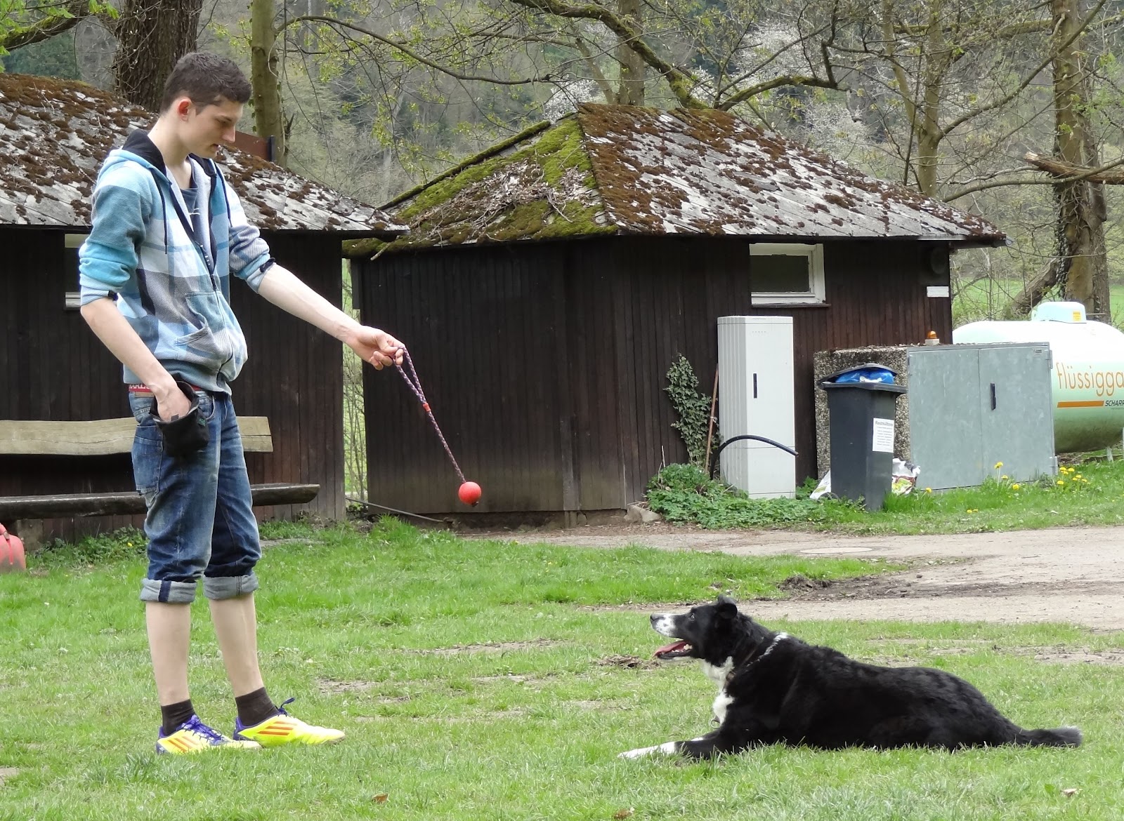 Anerkennung durch Engagement ADE Projekt 5 Trick Dog