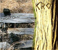 perdida croatoan_post_cro_tree.jpg