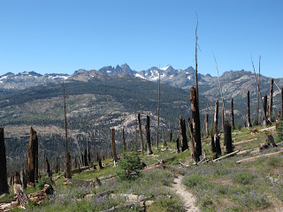 Am Rande des Tals der Middle Fork; die Spuren des Waldbrandes von 1992 sind deutlich zu sehen