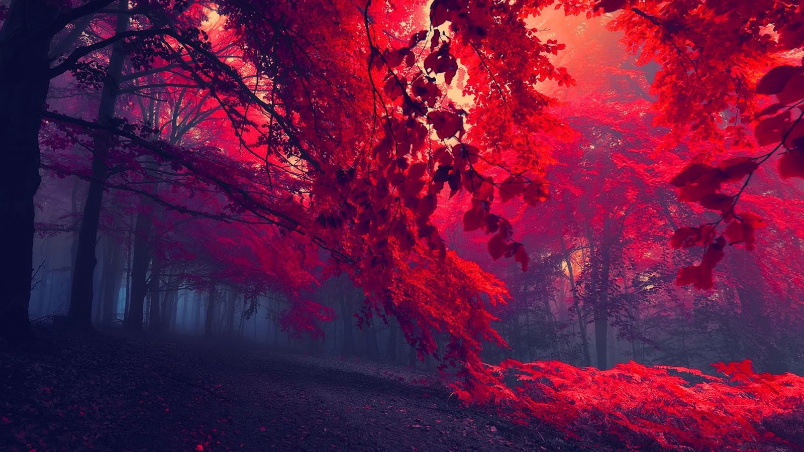 Naturaleza y paisajes wallpapers ~ los mejores wallpapers